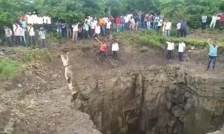 Người đàn ông mạo hiểm xuống giếng sâu 12 m để cứu cá sấu