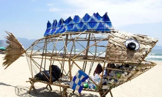 Cá bống khổng lồ 'ăn' rác thải nhựa trên bãi biển Đà Nẵng