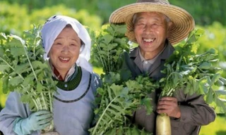 Bí quyết giúp người Nhật sống thọ trăm tuổi