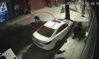 Kẻ bịt mặt liên tiếp ném mắm tôm trộn dầu luyn vào xe ô tô ở Hà Nội