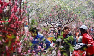 Thời tiết 3 ngày Tết Nguyên đán 2019 sẽ thế nào?