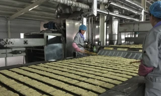 VIDEO: Cỗ máy sản xuất 25.000 gói mì tôm mỗi giờ