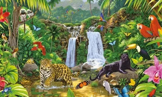 Tầm quan trọng của rừng mưa Amazon