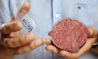 Không cần nuôi hay giết mổ, Nhật Bản vẫn tạo ra loại thịt giống hệt thịt bò