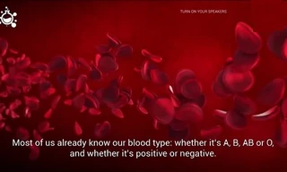 Nhóm máu quý như vàng, cả thế giới chỉ 43 người có