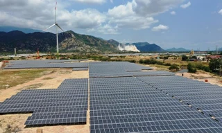 Cánh đồng điện mặt trời 7.000 tỷ đồng ở Ninh Thuận