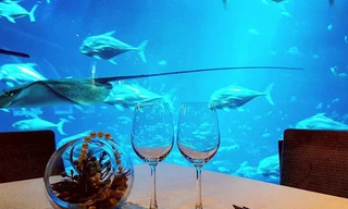 Ăn tối trong nhà hàng thủy cung khổng lồ ở Singapore