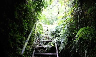 Hà Nội: Bí ẩn hang ngầm dưới đình cổ giáp hồ Tây