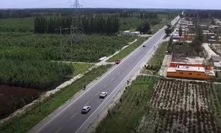 Trung Quốc biến sa mạc khô cằn thành cánh rừng rộng 890.000 hecta