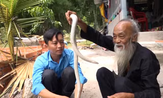 Lão nông nuôi 'bạch xà' làm thú cưng ở An Giang