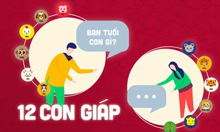 Vì sao quan niệm 'Heo vàng' và 12 con giáp ở nhiều nước lại khác nhau?