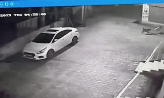 Bầy chó cứu sống bé sơ sinh bị mẹ vất xuống cống khiến dân mạng cảm động