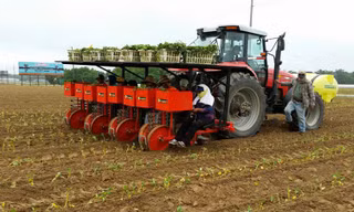 Máy trồng cây siêu tốc có thể hoạt động trên cánh đồng lớn