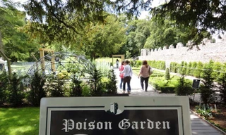 Khu vườn độc dược nguy hiểm nhất thế giới