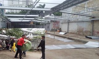 Tháo dỡ Trung tâm mua sắm trái phép chống lệnh Chủ tịch tỉnh