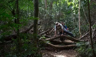 Brazil mở cửa tuyến đường mòn trong rừng dài 8.000 km