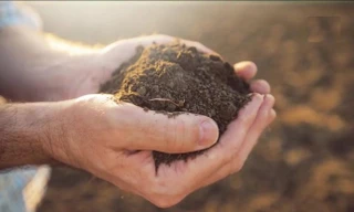 Ở nơi này, đất được chứng minh là 'thần dược' chữa bệnh