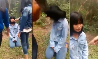 Nữ sinh đánh bạn ở Nghệ An sắp thi học sinh giỏi cấp tỉnh