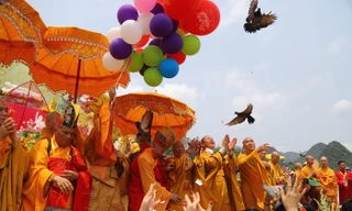 Vesak 2019: Phóng sinh bồ câu, thả bóng bay nguyện cầu hòa bình thế giới