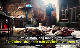 Lợn lở mồm long móng được “phù phép” thành thịt trâu gác bếp thơm ngon