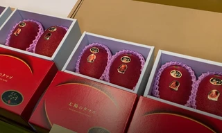 Xoài đỏ Nhật Bản đắt nhất thế giới gần 5.000 USD mỗi cặp