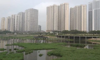 Video: Hồ điều hòa trong công viên 300 tỷ đồng cạn nước vì... bay hơi