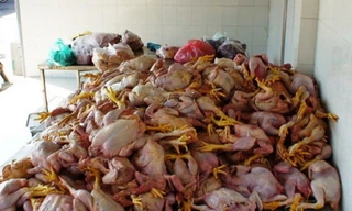 Học sinh đau bụng vì thực phẩm mốc, hiệu trưởng bị đuổi việc