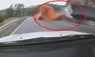 Clip: Container bị lật trên đèo sau khi vào cua gấp với tốc độ cao