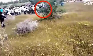 Thót tim nhìn báo hoa mai lao vào tấn công người dân