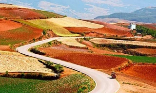 Trải rộng trên những cánh đồng rộng lớn, màu đỏ nâu không bình thường của Đông Xuân xuất phát từ sự giàu chất sắt và đồng. 