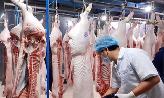 Phó Thủ tướng yêu cầu thực hiện ngay các biện pháp bình ổn giá thịt lợn