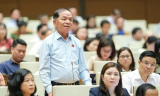 Đề nghị tổng rà soát bằng tiến sĩ, thạc sĩ của cán bộ, kể cả cán bộ cao cấp