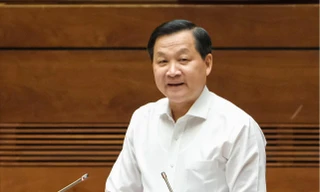 Khuyến khích các tổ chức kinh tế tập thể tích tụ đất đai