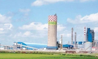 Lập phương án xử lý dứt điểm dự án Đạm Ninh Bình và Công ty tàu thủy Dung Quất 