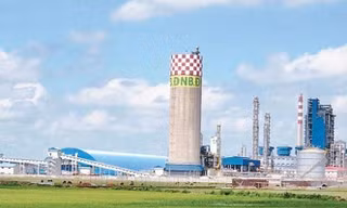 Lập phương án xử lý dứt điểm dự án Đạm Ninh Bình và Công ty tàu thủy Dung Quất 
