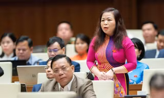 Phó Chủ nhiệm Ủy ban Tài chính – Ngân sách: Rất đau lòng trước lãng phí đất đai