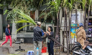30 Tết, mía lộc xuống phố Hà Nội chờ đón giao thừa