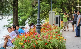Cận cảnh 'vườn hoa' mới rực rỡ bên bờ hồ Hoàn Kiếm
