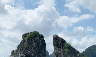 Lên đường mùa Hè: Mở khóa kỳ nghỉ với những tia nắng ở Hạ Long!