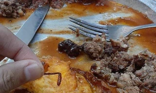 “Bóc phốt” bánh mỳ chảo có gián, khách hàng bị nhân viên nghi ngờ tự nhặt gián bỏ vào đồ ăn