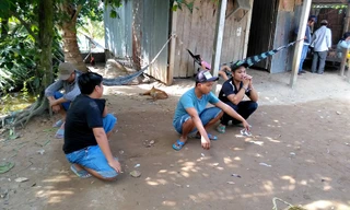 Triệt phá tụ điểm đá gà có cảnh giới từ xa