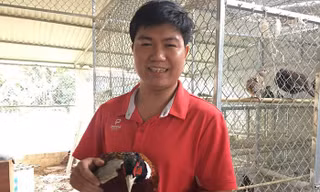 Thầy giáo vùng cao nuôi loài chim ăn ít, làm dáng, có 30 triệu/tháng