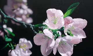 Ngỡ ngàng với tranh siêu thực