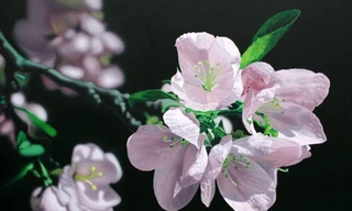 Ngỡ ngàng với tranh siêu thực