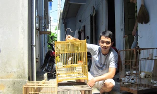 Thành - SV ĐH Kiến trúc Đà Nẵng chia sẻ bữa ăn và phòng trọ của mình cho 4 lồng chim. Ảnh: T.H