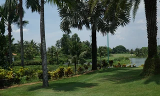 Vẻ đẹp quyến rũ và xanh mướt của 'đấu trường' giải Tiền Phong Golf Championship