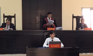 Họa sĩ Lê Linh thắng kiện quyền tác giả 'Thần đồng đất Việt'