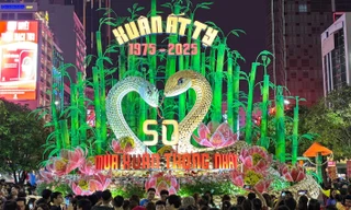 Lý do Đường hoa Nguyễn Huệ Tết Ất Tỵ 2025 chỉ mở cửa 7 ngày