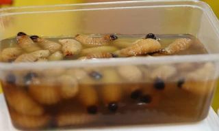 Món ăn bị cấm nhưng vẫn được đưa vào liên hoan 'Món ngon các nước'