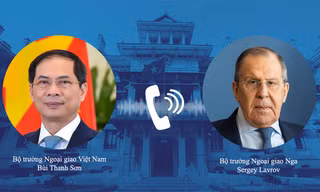 Bộ trưởng Bùi Thanh Sơn và Ngoại trưởng Nga Sergei Lavrov. (Ảnh: Mofa)